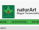 naturArt