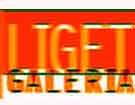 Liget