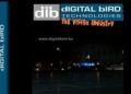 Digital Bird
